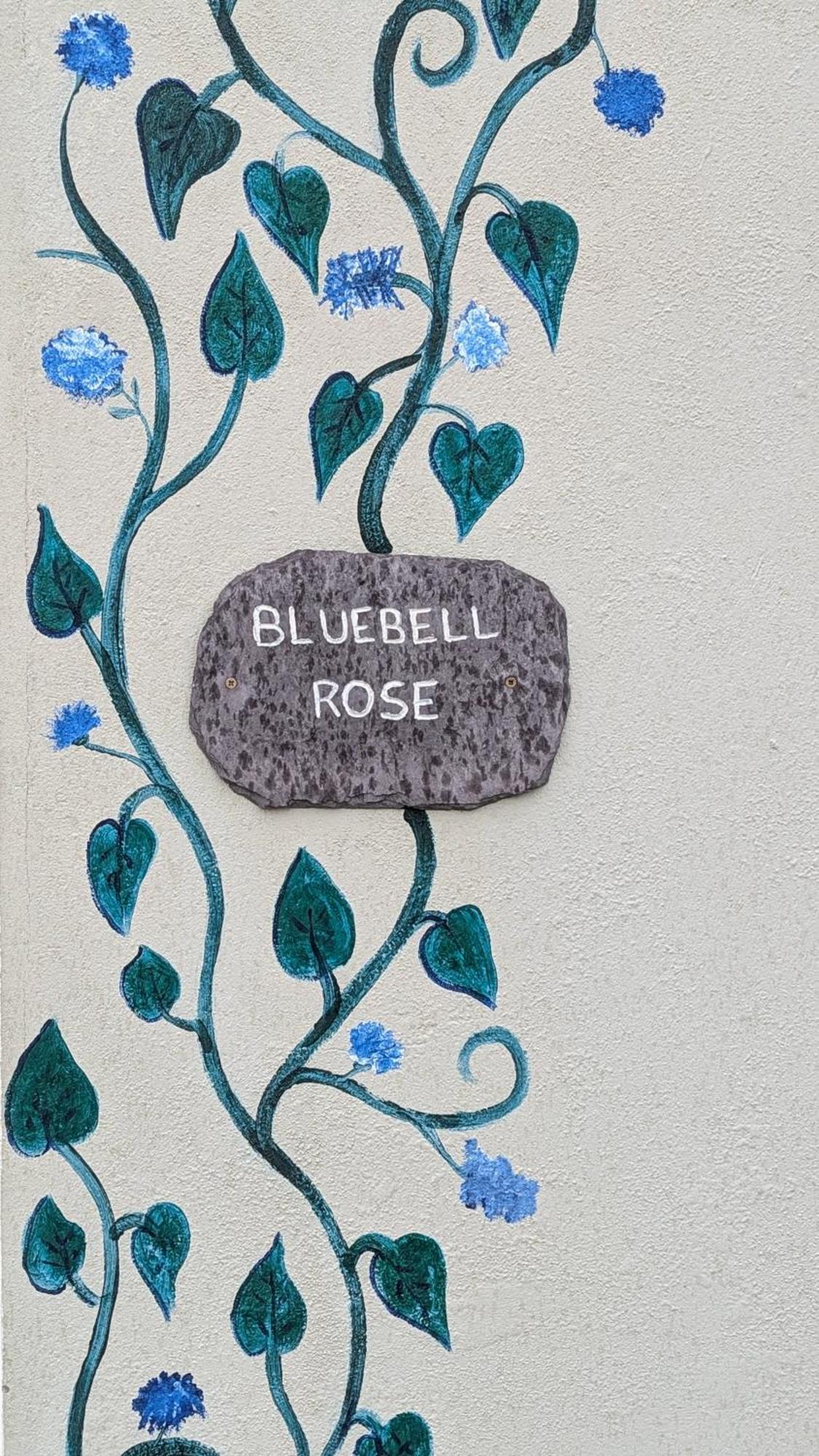 Skellig View Bluebell Rose & The Kerry Cliffs Portmagee Exterior foto